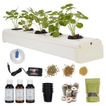 Searching for the Perfect Hydroponic System for your Plants. Here is all that your Plant Needs!